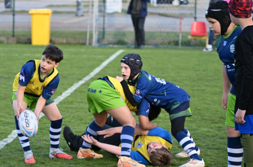 # Polskie Rugby # Polski Związek Rugby