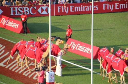 # Polskie Rugby # Polski Związek Rugby