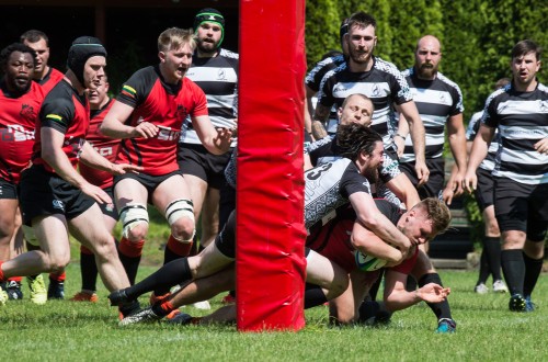 # Polskie Rugby # Polski Związek Rugby
