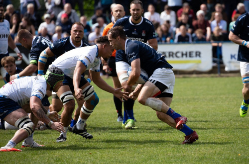 # Polskie Rugby # Polski Związek Rugby