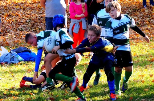 # Polskie Rugby # Polski Związek Rugby