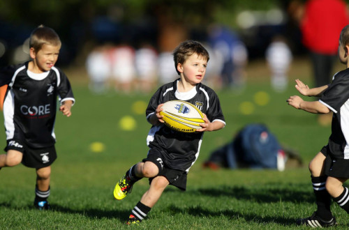 # Polskie Rugby # Polski Związek Rugby