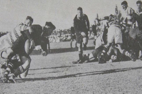 # Polskie Rugby # Polski Związek Rugby