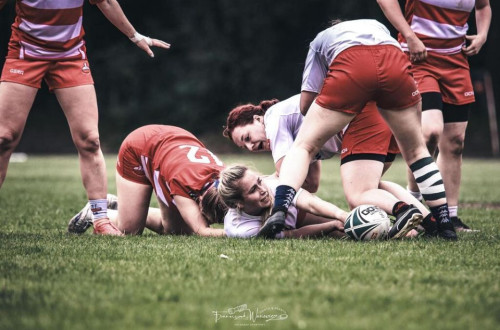 # Polskie Rugby # Polski Związek Rugby