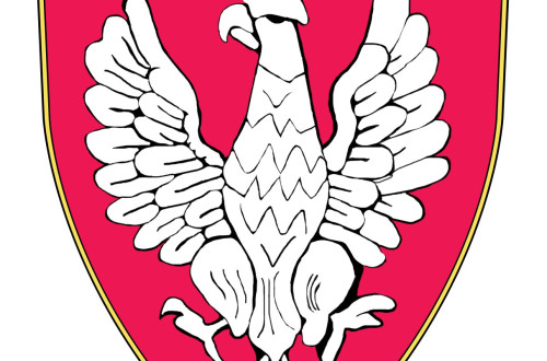 # Polskie Rugby # Polski Związek Rugby