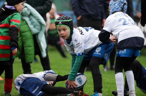 # Polskie Rugby # Polski Związek Rugby